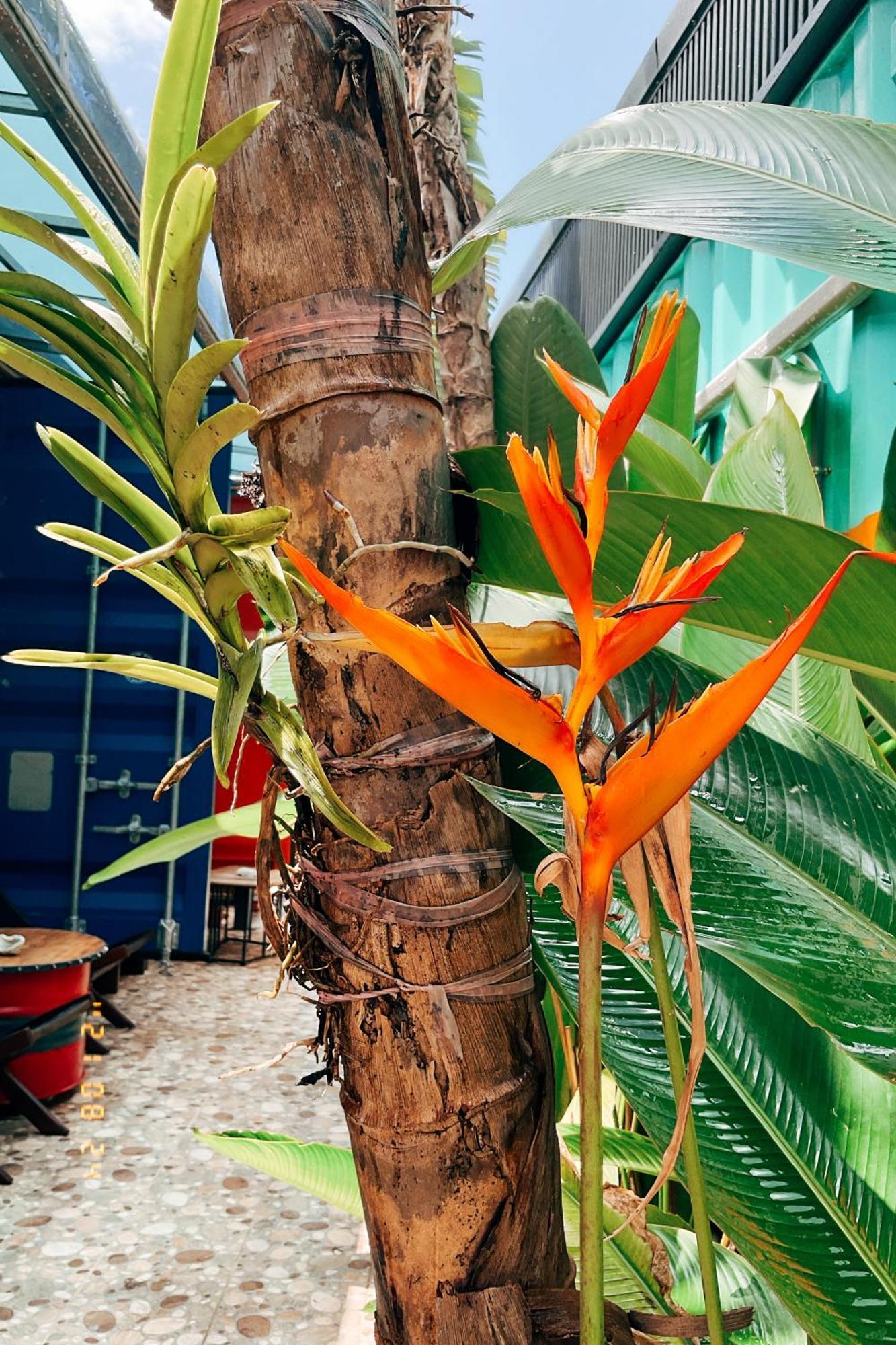 Little Ryukyu Hermit Crab Homestay Xiaoliuqiu Εξωτερικό φωτογραφία
